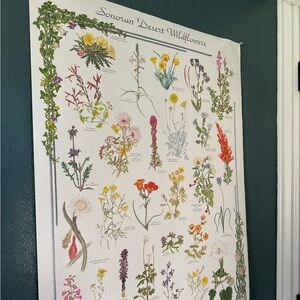 Sonoran Desert Wildflowers Poster - Multicolor Botanical Wall Decor